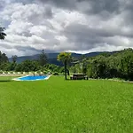 O Canto Do Grilo *