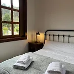 O Canto Do Grilo